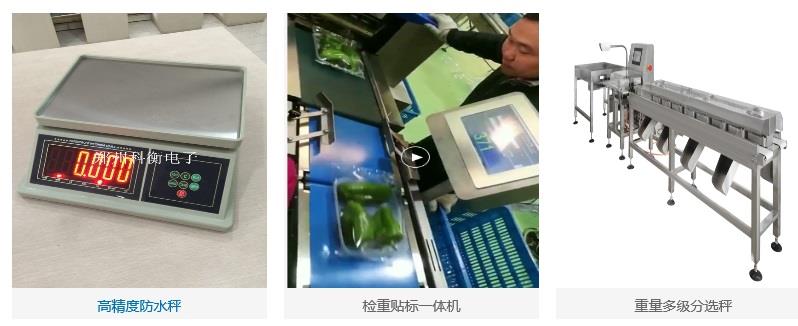 郑州科衡电子衡器有限公司产品图片